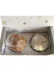Duetto from the Pasticceria Nuova Dolceria with Pan Ricò and "Ibleo" Panettone