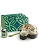 Artisan Sicilian Colomba with Pistachio - Pasticceria Bonfissuto