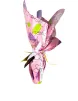 Modica IGP 65% Tartarugato Chocolate Egg 60 grams - Antica Dolceria Rizza