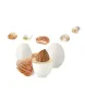 Maxtris Confetti with Neapolitan Sfogliatella flavor - 1 Kg