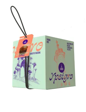 Panettone Fiasconaro Ypsigro da 750 grammi con gelsi e cioccolato al latte.