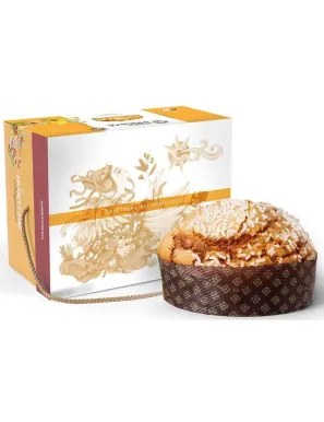panettone all'albicocca con scatola elegante