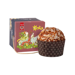 panettone tradizionale con scatola elegante