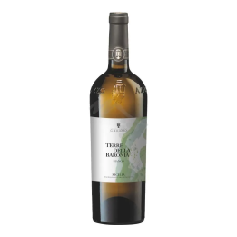 Terre della Baronia Organic 2024 white wine - Milazzo
