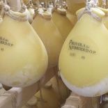 Provola dei Nebrodi D.O.P. - Fresh whole wheel