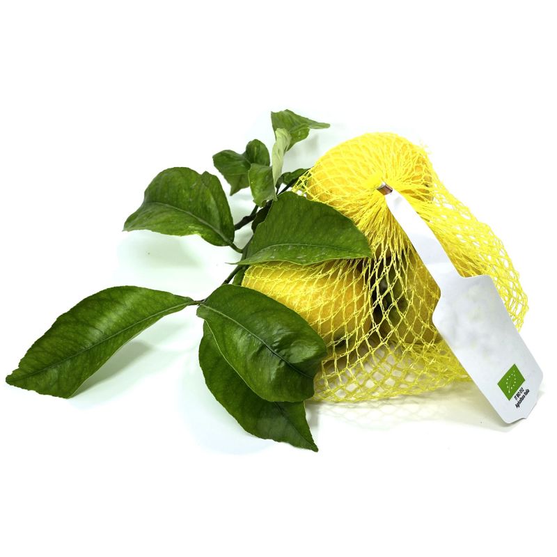 ORGANIC Sicilian lemons - 5 kg pack