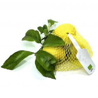 Limoni Verdelli di Sicilia BIO - Confezione da 0,5 kg