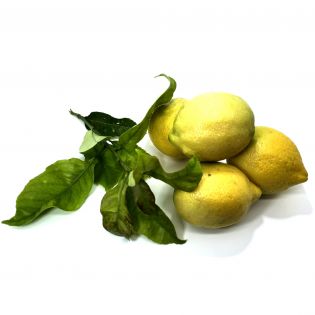 ORGANIC Sicilian lemons - 5 kg pack