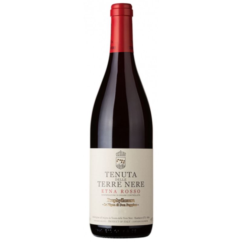 Prephilloxera 2019 Etna Rosso DOC - Terre Nere