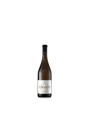 Mezza bottiglia Bianco di Nera Bio - 375 ml - Cantina Milazzo