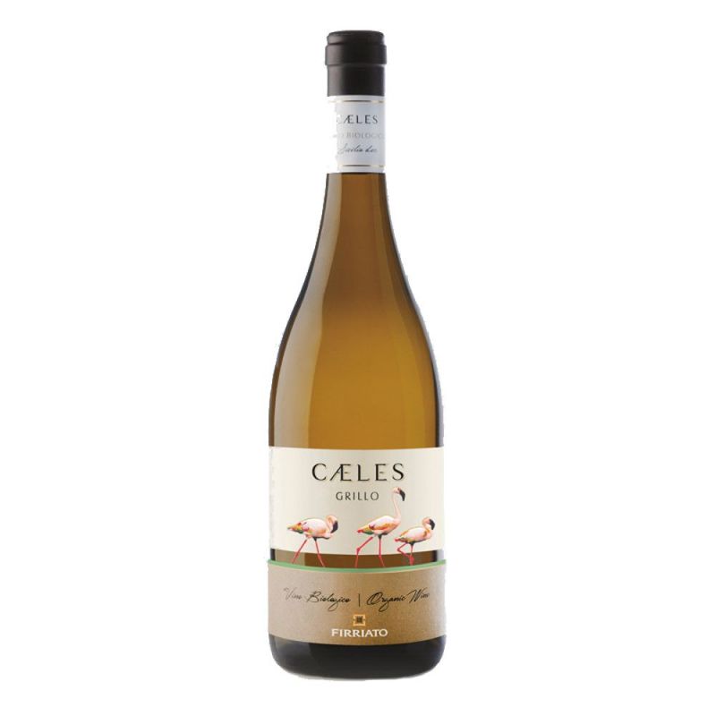 Caeles Organic white wine D.O.C. Sicilia 2020 - Firriato