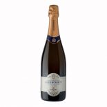 Gaudensius Blanc de Noir Etna Doc Brut Sicilian Sparkling Wine - Firriato