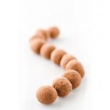 Toasted Hazelnuts covered with dark chocolate 100 g - BIO