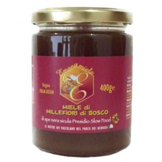 Miele Millefiori di Bosco Ape Nera Sicula - Slow Food