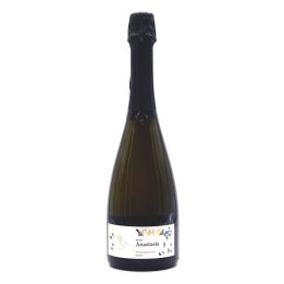 Brut Sparkling Wine Classic Method Abbazia Santa Anastasia -Terre di Anastasia 2015 BIO