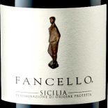 Young and captivating red wine, perfect for fish