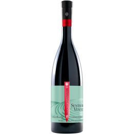 Sentiero del Vento, fresh and fruity white wine from Vermentino di Duca di Salaparuta grapes