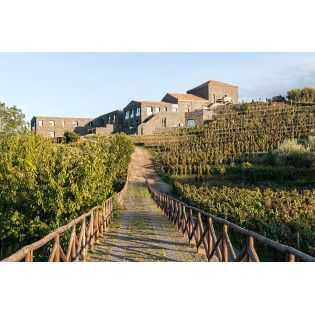 Mofete Etna Bianco DOC 2021 - Palmento Costanzo