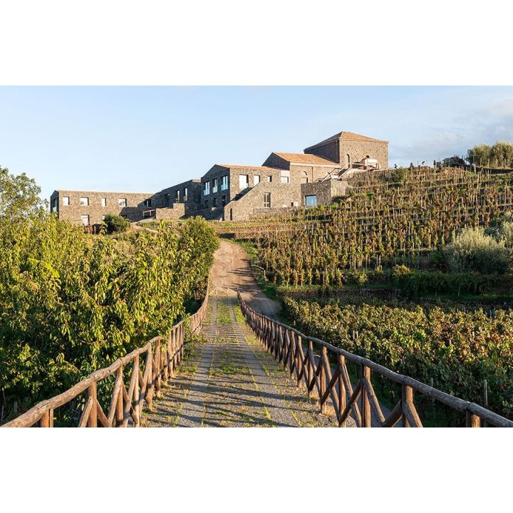Mofete Bianco 2021 - Etna DOC - Palmento Costanzo