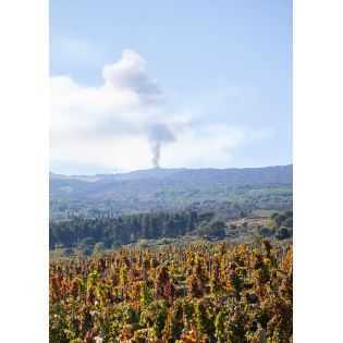 Mofete Rosso 2020 - Etna DOC - Palmento Costanzo