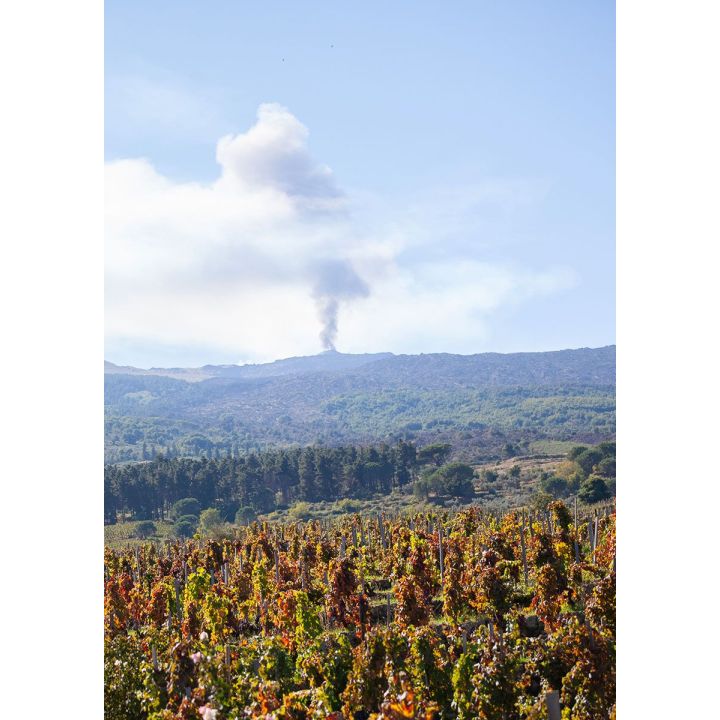 Mofete Etna Rosso DOC 2020 - Palmento Costanzo