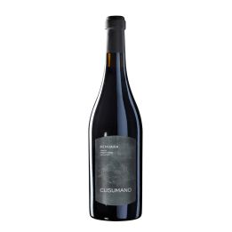 Syrah and Nero d'Avola Cusumano, Benuara 2021