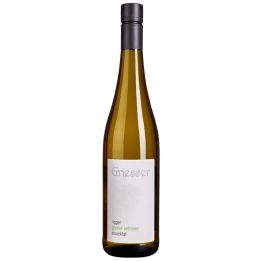 Rigger Ghuner Veltliner DOC 2021- Cantine Griesserhof