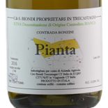 Pianta 2022 - Etna Bianco Ciro Biondi