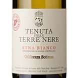 "Calderara Sottana" Cuvée delle Vigne Niche Etna Bianco DOC 2022 - Terre Nere