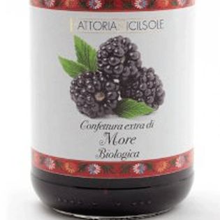 Wild blackberries, organic blackberry jam
