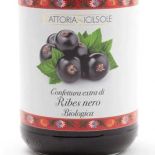Ribes neri, marmellata biologica