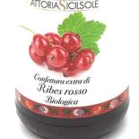 ribes rossi, marmellata biologica