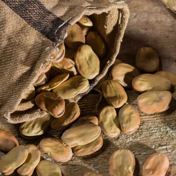 Fava Beans - AGRICEREAL