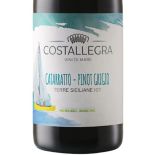 Costallegra vino biologico blend di Catarratto e Pinot Grigio Terre Siciliane IGT