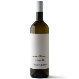 Muscatedda - Dry white wine Moscato di Noto 2022