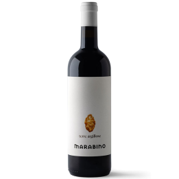 Clay lands Nero d'Avola wine from the Marabino winery