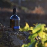 Ammare vino bianco siciliano DOP in cassa di legno - Cantine Vinisola