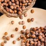 Cuor di Nocciole un liquore siciliano che nasce dalle Nocciole dei Nebrodi