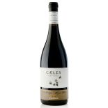 Caeles Nero d'Avola Sicilia DOC 2021 - Cantine Firriato