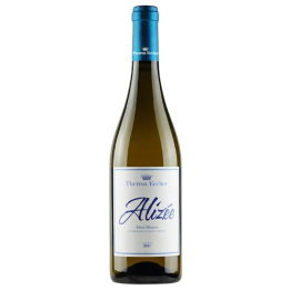 Alizée Sicilian White Wine Etna DOC - Theresa Eccher