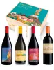 vini sicilia da bere