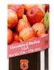 Modica IGP Chocolate with Etna Apples - 100 gram bar.
