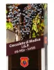Cioccolato di Modica I.G.P. aromatizzato con l'Uva Passa - Tavoletta da 100 grammi.