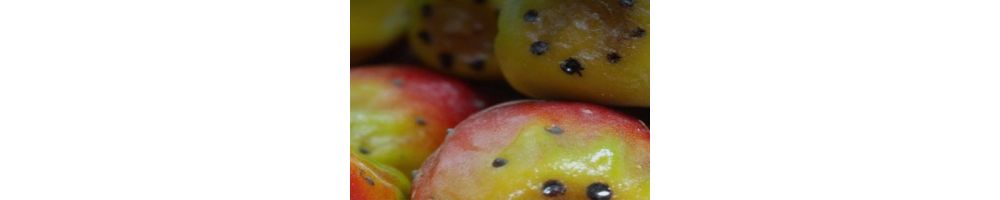 Frutta martorana siciliana