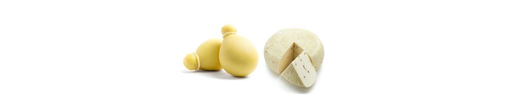 Formaggi siciliani: provole e ricotte