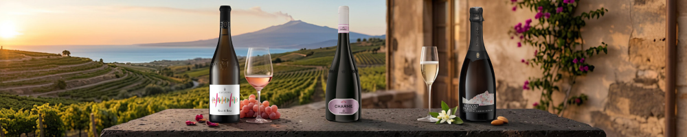 Vini rosati siciliani e rosé
