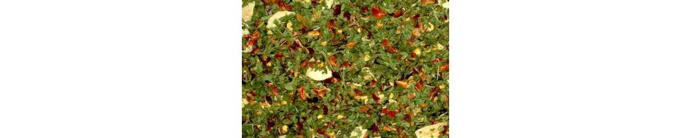 Condipasta secchi per pasta veloce