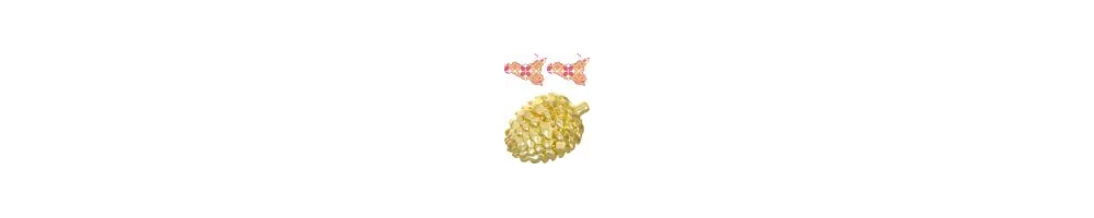 Pigne siciliane artigianali