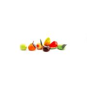 Martorana Fruit of marzipan